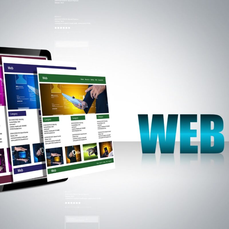 Rapid Growth Package - Image 5
